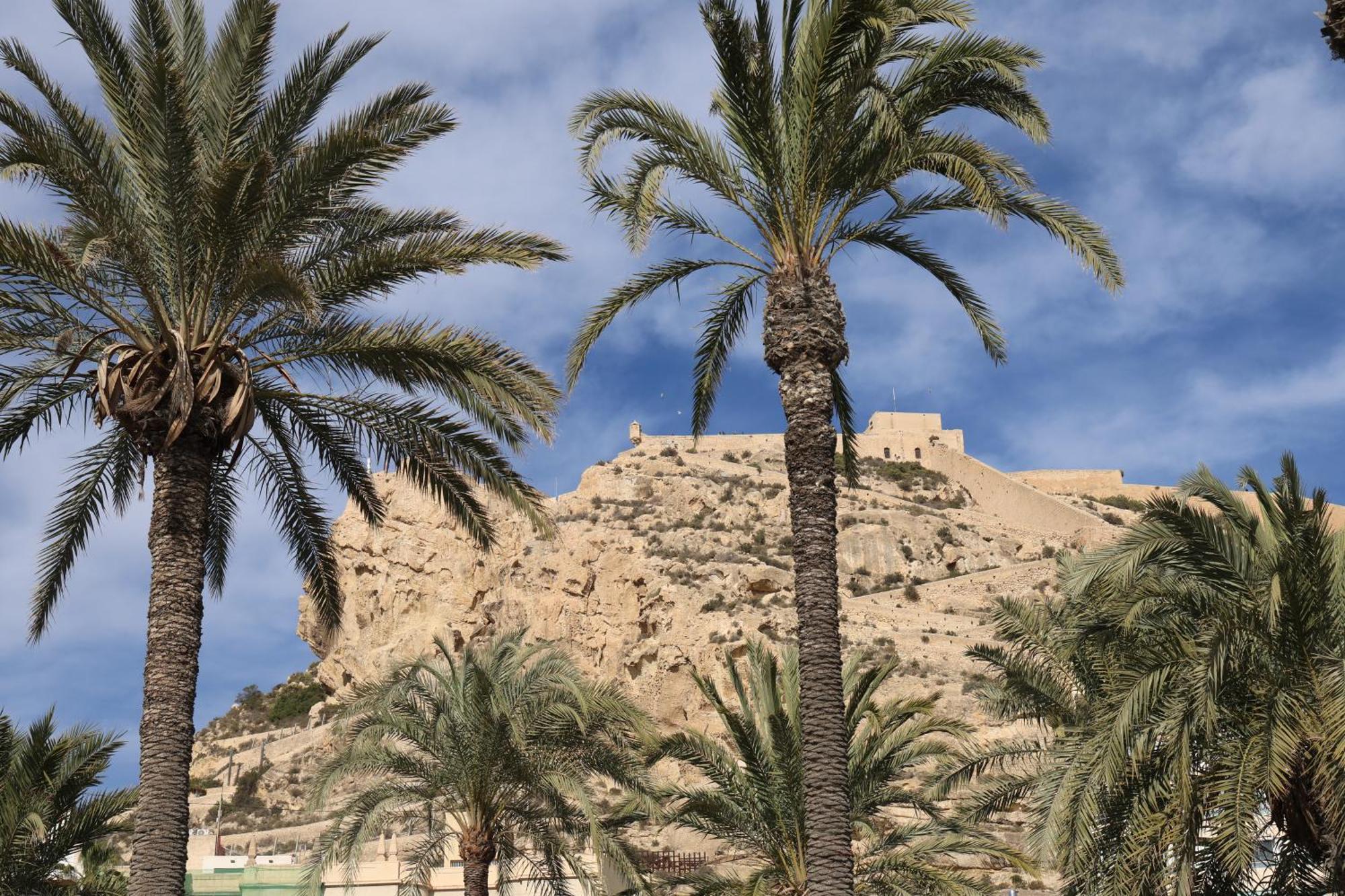 Alicantan Vital Experience Alicante Zewnętrze zdjęcie