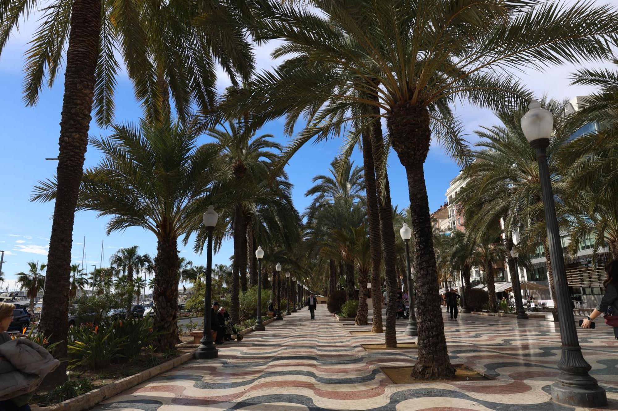 Alicantan Vital Experience Alicante Zewnętrze zdjęcie