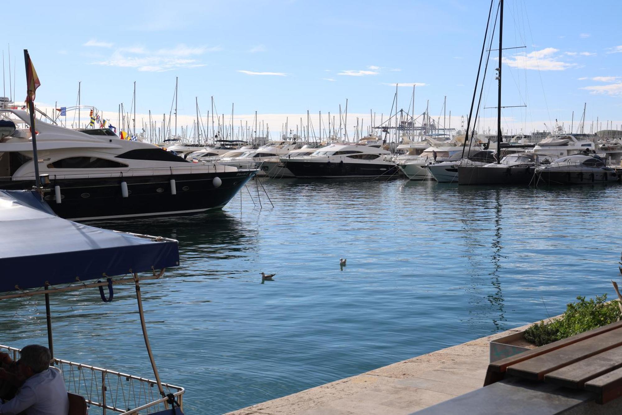 Alicantan Vital Experience Alicante Zewnętrze zdjęcie